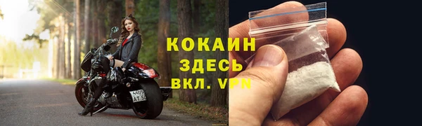 бошки Богданович