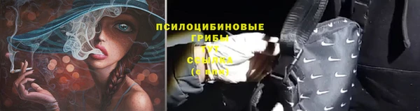 MDMA Premium VHQ Богородицк