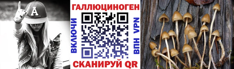 Галлюциногенные грибы GOLDEN TEACHER  Красный Кут 